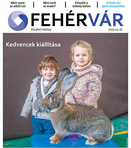 Fehérvár Magazin